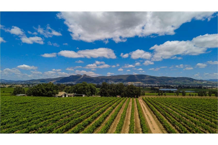5 Bedroom Property for Sale in Paarl North Western Cape